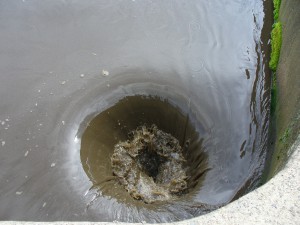 p1050265